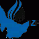 tozin faraz logo